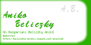 aniko beliczky business card